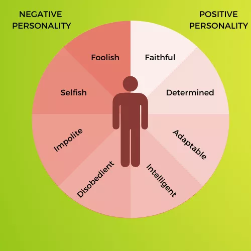 Personality Infographic View