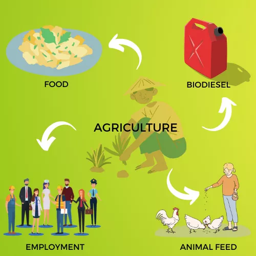 AGRICULTURE INFOGRAPHIC VIEW
