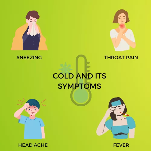 COLD INFOGRAPHIC VIEW