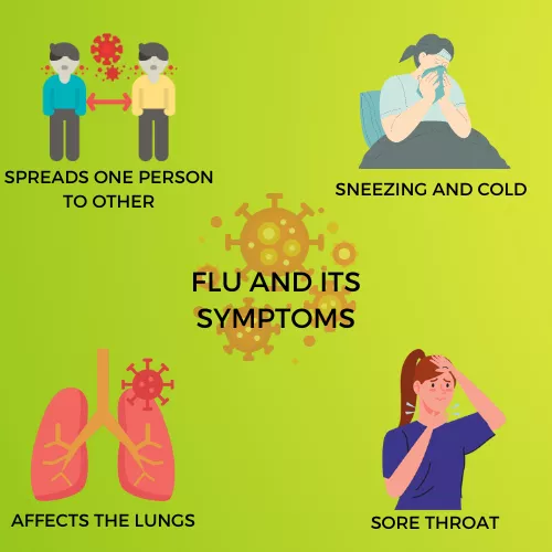FLU INFOGRAPHIC VIEW