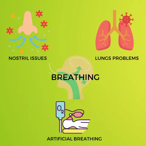 BREATHING INFOGRAPHIC VIEW