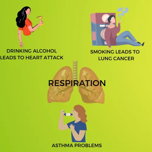 RESPIRATION INFOGRAPHIC VIEW
