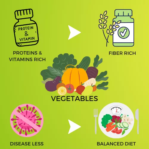 VEGETABLES INFOGRAPHIC VIEW