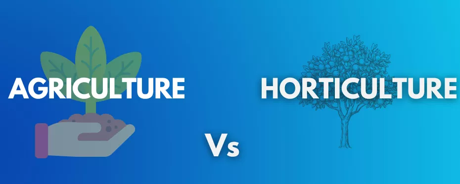 What’s the difference between Agriculture and Horticulture?