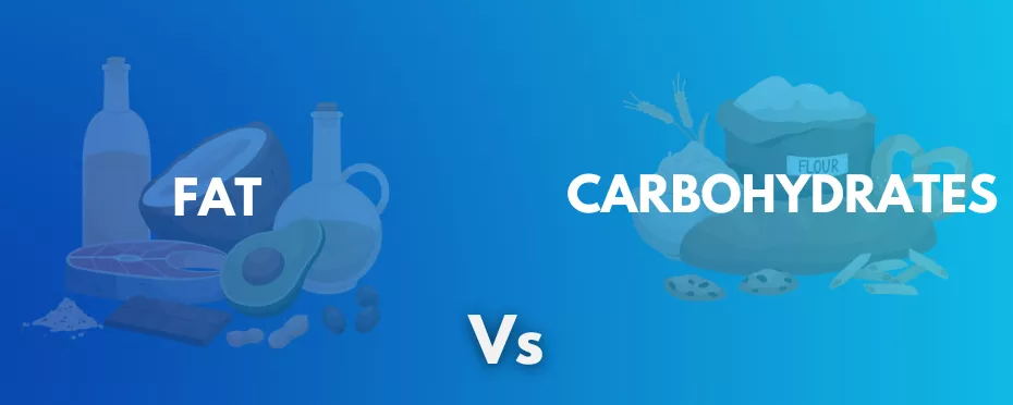 What’s the difference between Fat and Carbohydrates?