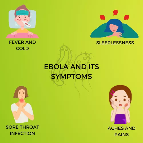 EBOLA INFOGRAPHIC VIEW
