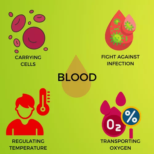 BLOOD INFOGRAPHIC VIEW
