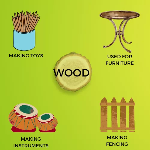 WOOD INFOGRAPHIC VIEW
