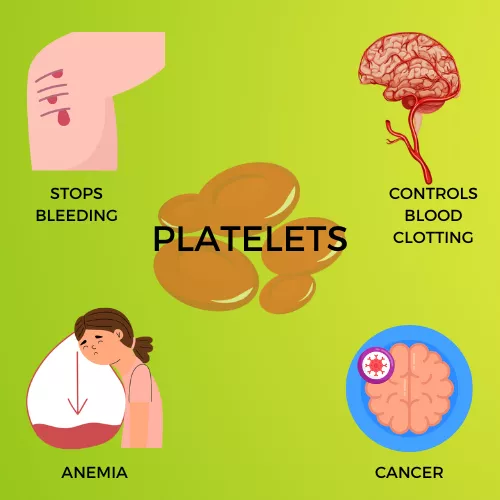 PLATELETS INFOGRAPHIC VIEW 