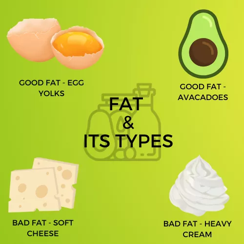 FAT INFOGRAPHIC VIEW