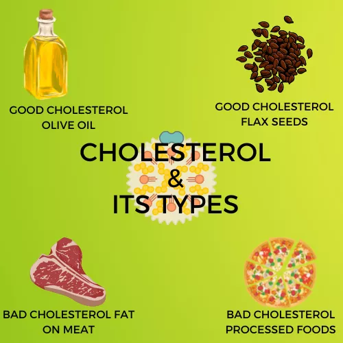 CHOLESTEROL INFOGRAPHIC VIEW