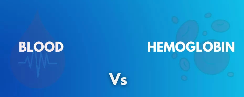 What’s the difference between Blood and Hemoglobin?