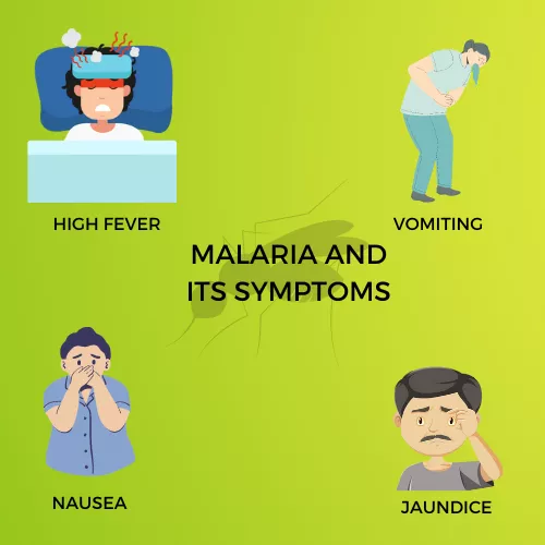 MALARIA INFOGRAPHIC VIEW
