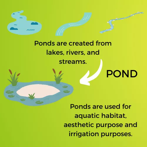 POND INFOGRAPHIC VIEW