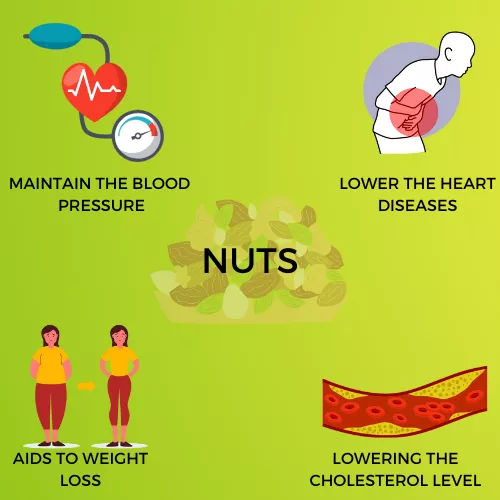 NUTS INFOGRAPHIC VIEW