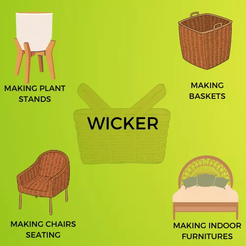 WICKER INFOGRAPHIC VIEW