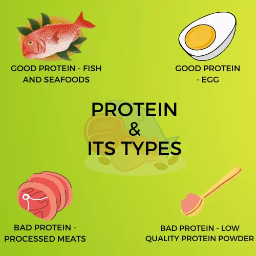 PROTEIN INFOGRAPHIC VIEW
