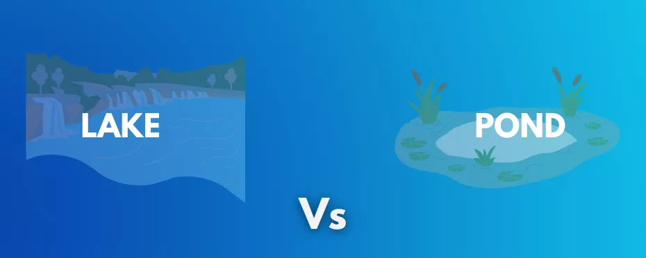What’s the Difference Between Lake and Pond? Lake vs. Pond