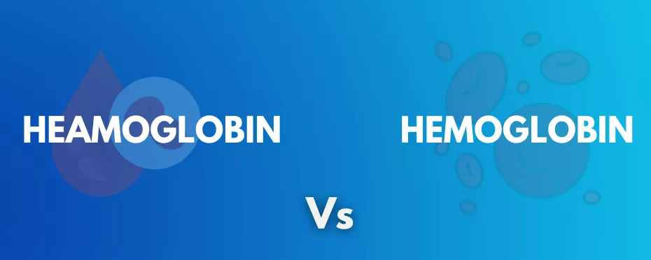 What’s the difference between Haemoglobin and Hemoglobin?