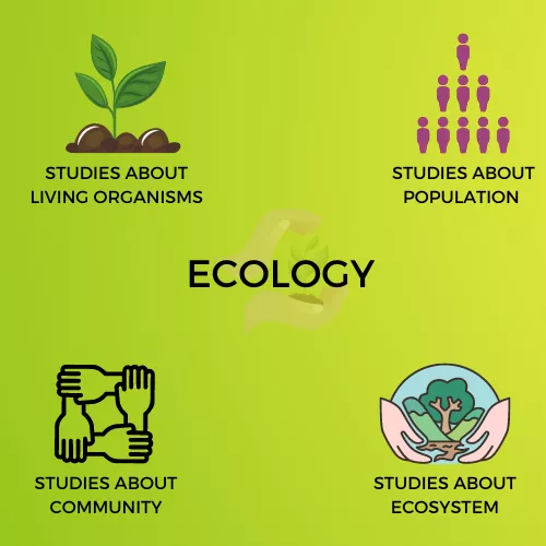 ECOLOGY INFOGRAPHIC VIEW